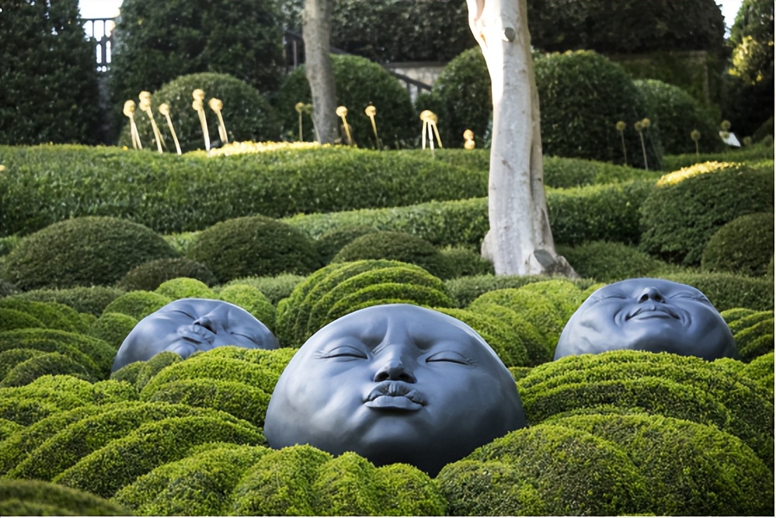 那些被我们忽略的风景,球球景观