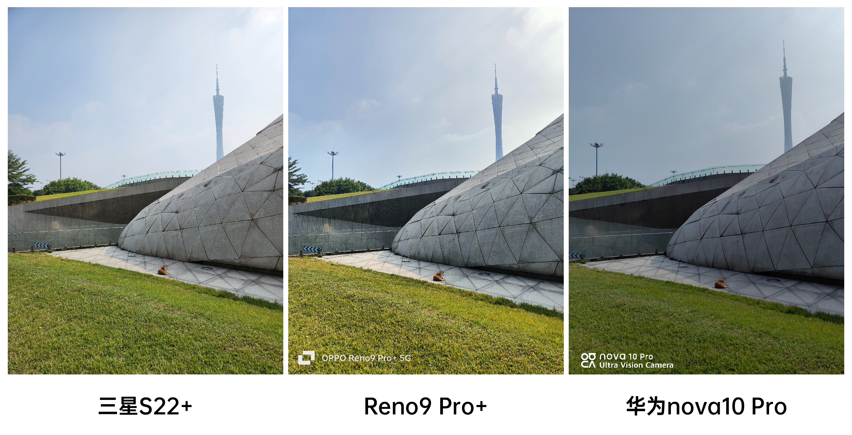 reno9pro+拍照对比,华为reno9pro测评