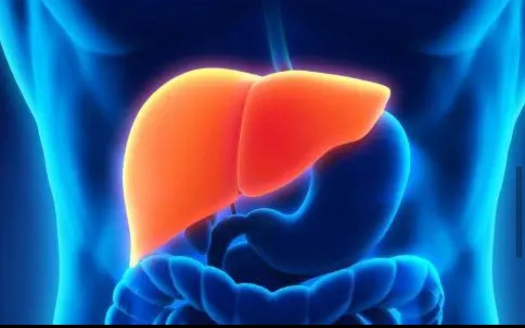 身上出现了大面积小红点不痛不痒,身上出现小红点不痛不痒什么原因