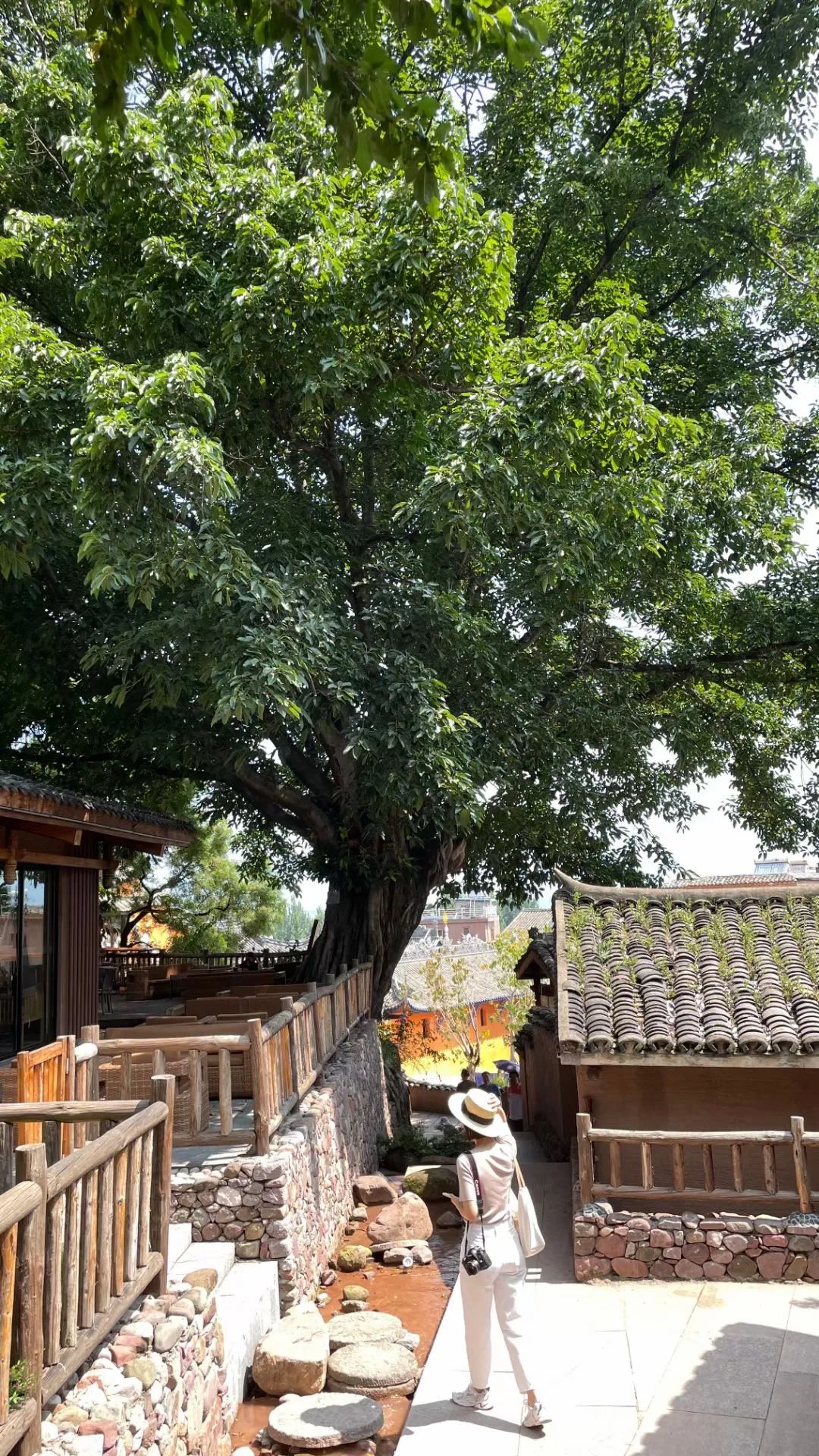 去西昌一定要吃的美食,去西昌推荐吃什么