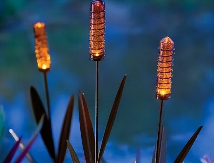 庭院防鼠防虫,如何防治高层老鼠方法