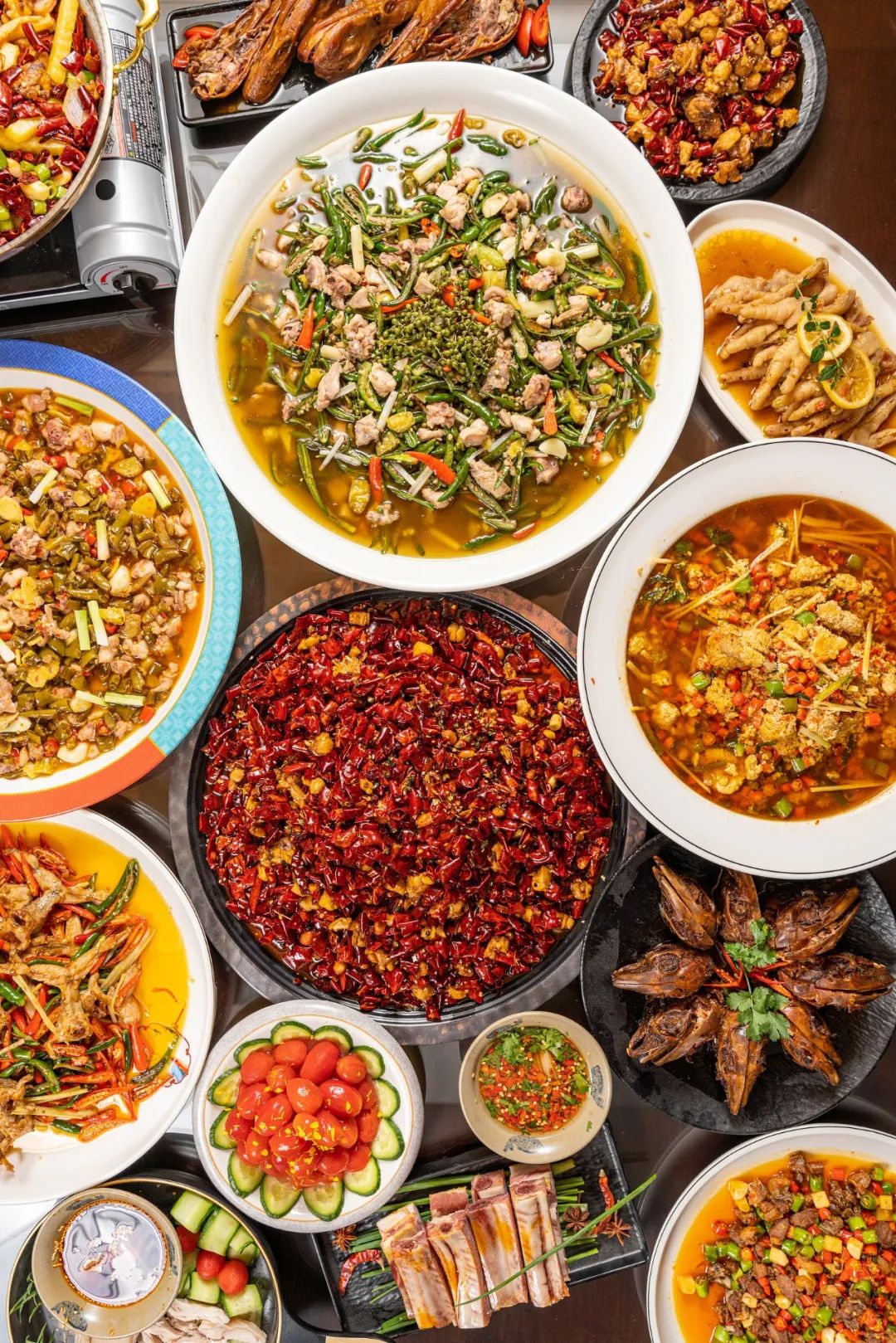 兔年来了,兔年来了怎么样