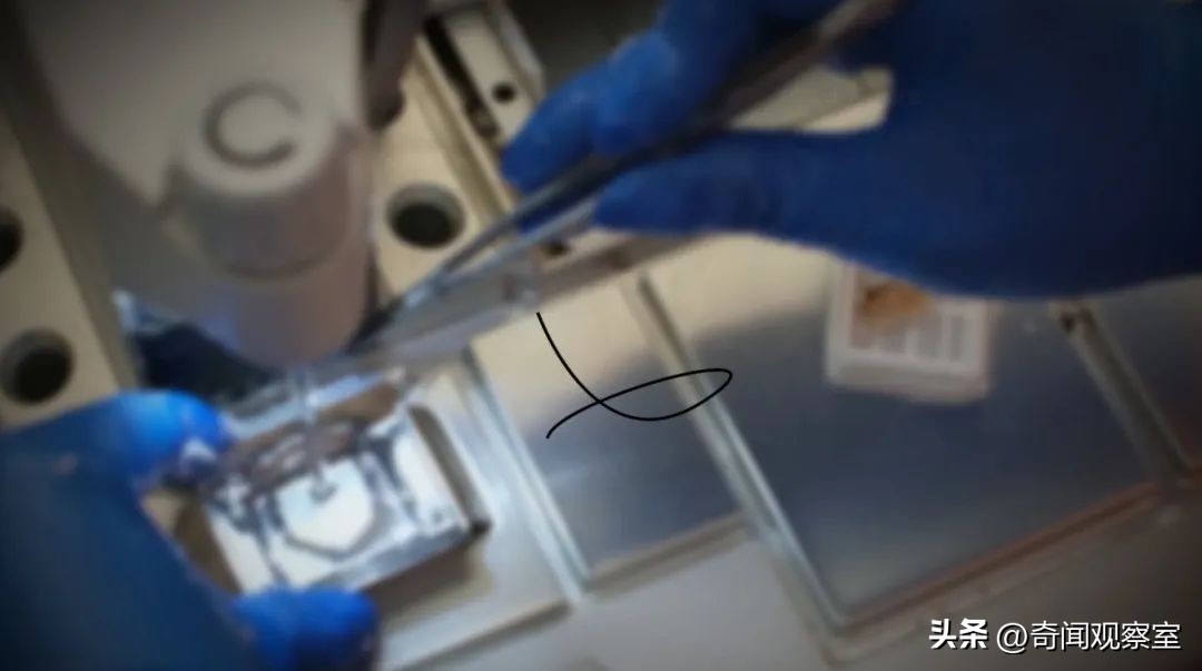 英国历史离奇失踪事件,英国2010年以内发生什么事情