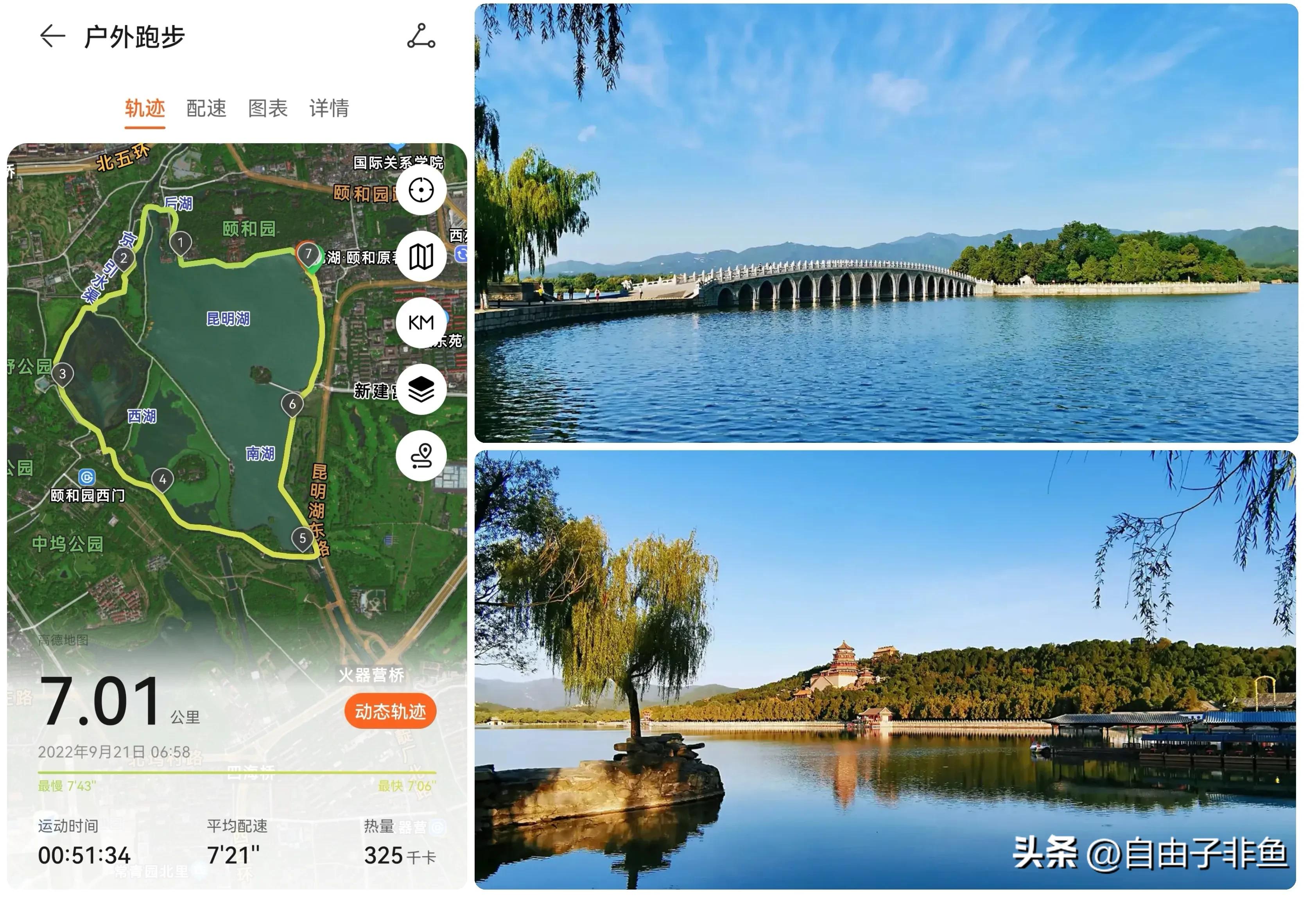 北京植物园跑步路线,北京适合跑步的地方