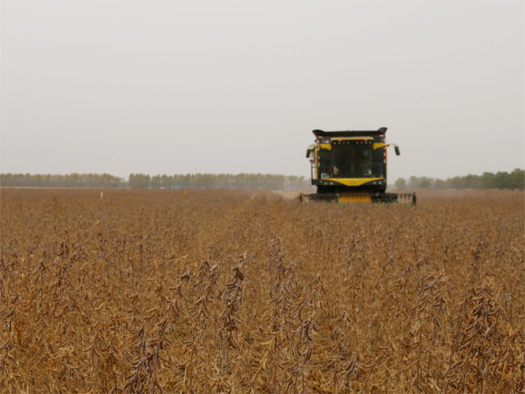 龙江黑土优品产品,小康龙江与黑土优品