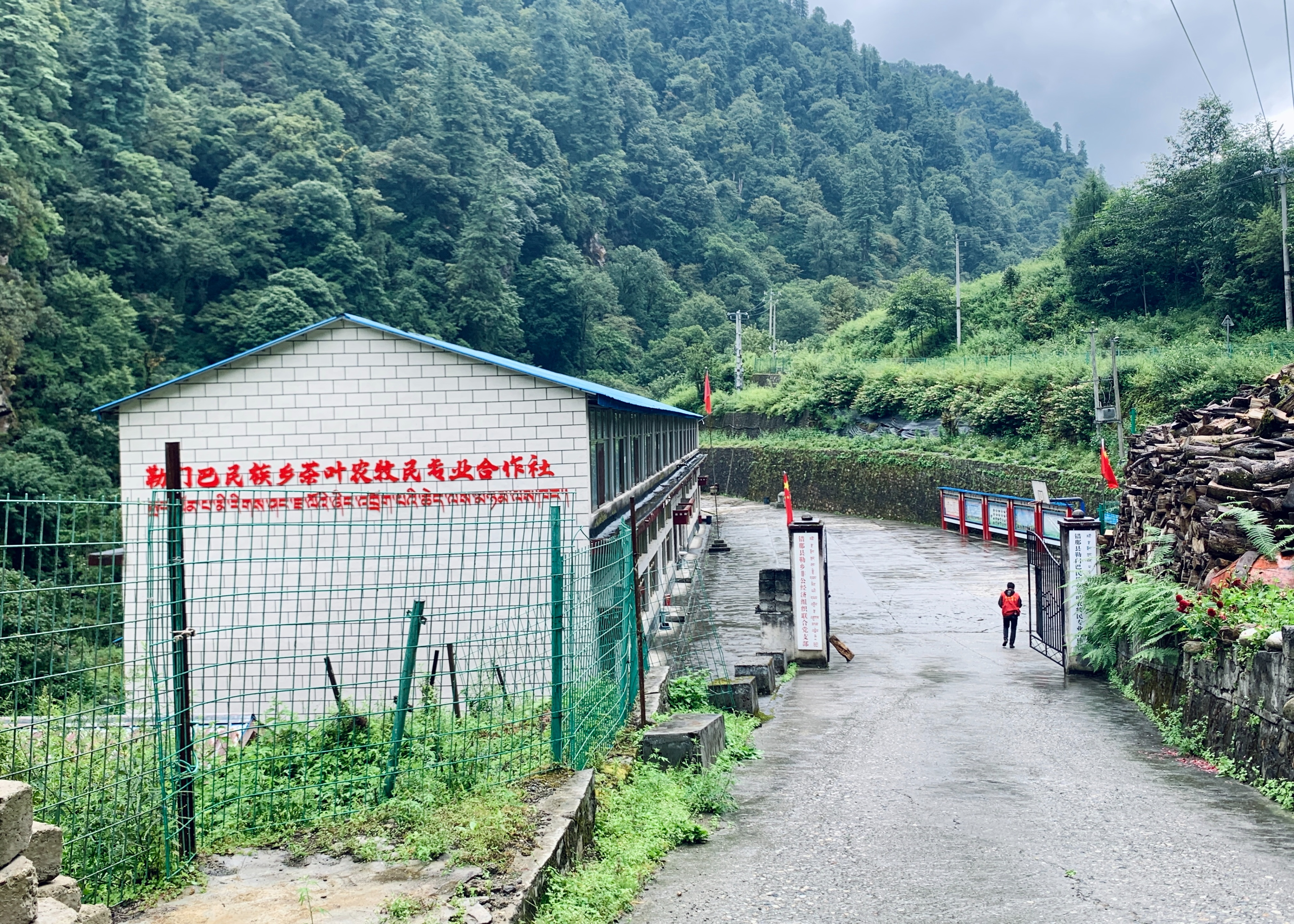 云南最高海拔的茶叶,海拔最高的茶叶产地在哪里