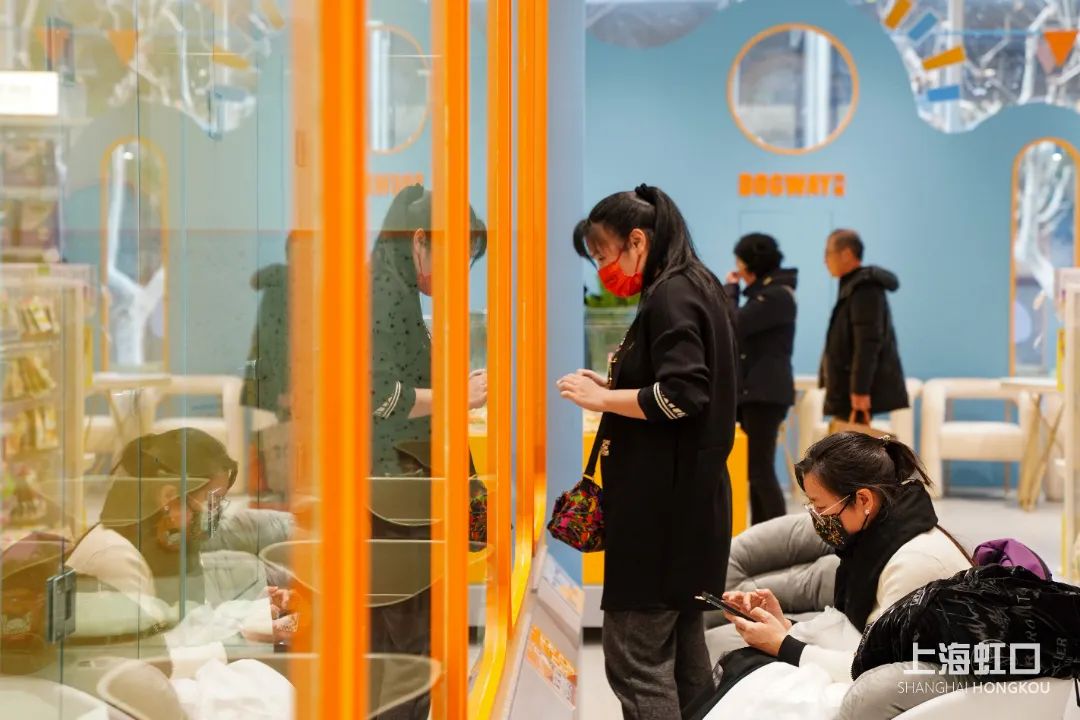 狗道宠物上海嘉定店,狗道宠物百联南方店