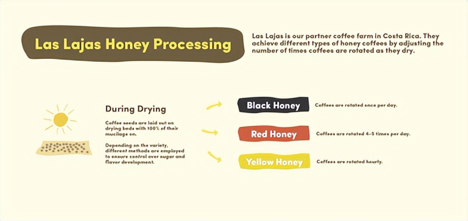 听说过蜜处理咖啡吗？真有这么一种加工方法存在