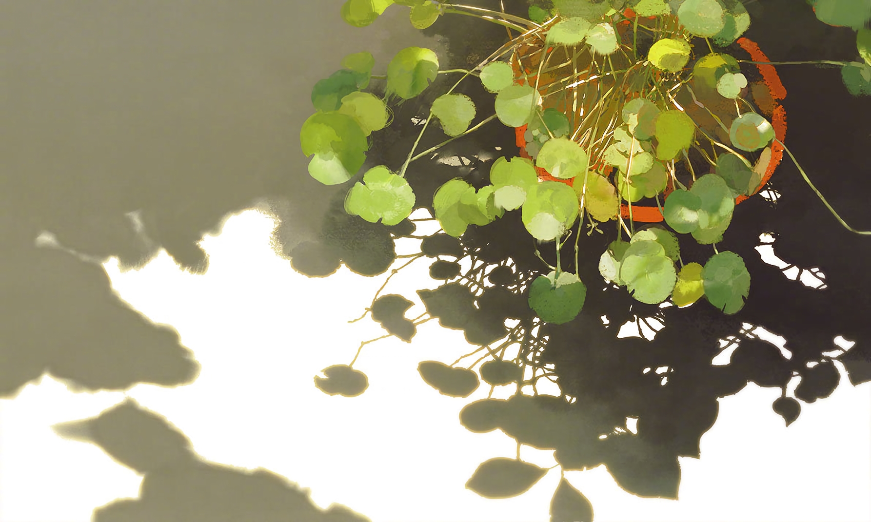 今日热点小说《苏轻鸾君尧》（完整版大结局）全文阅读笔趣阁