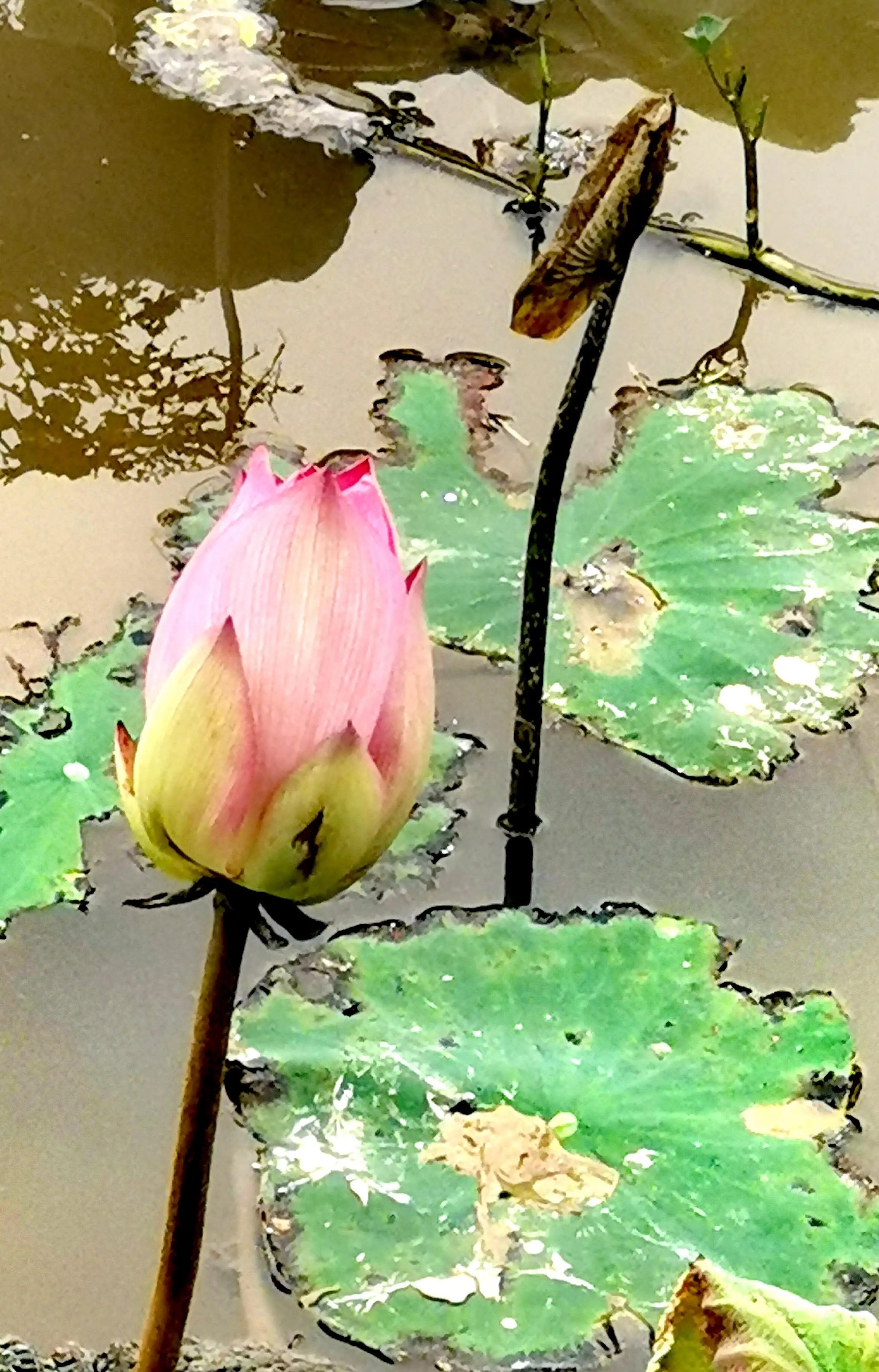 漳州市美丽的小镇,漳州长泰区旅游