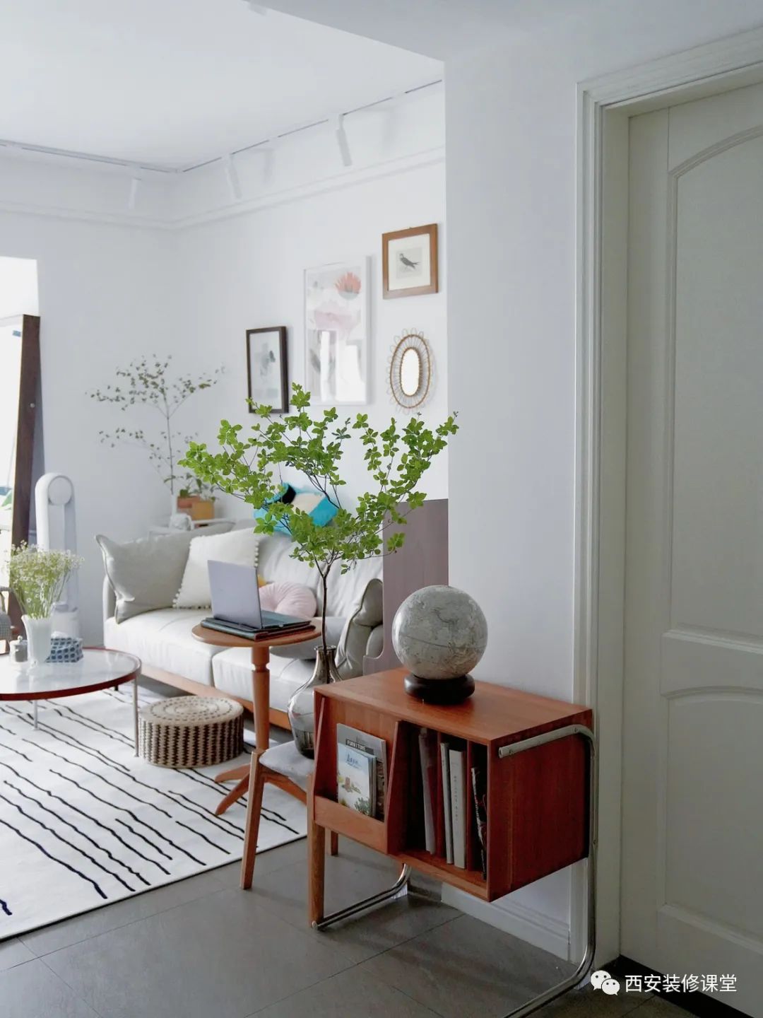 室内绿植软装搭配案例怎么摆,绿植与轻奢结合的软装搭配