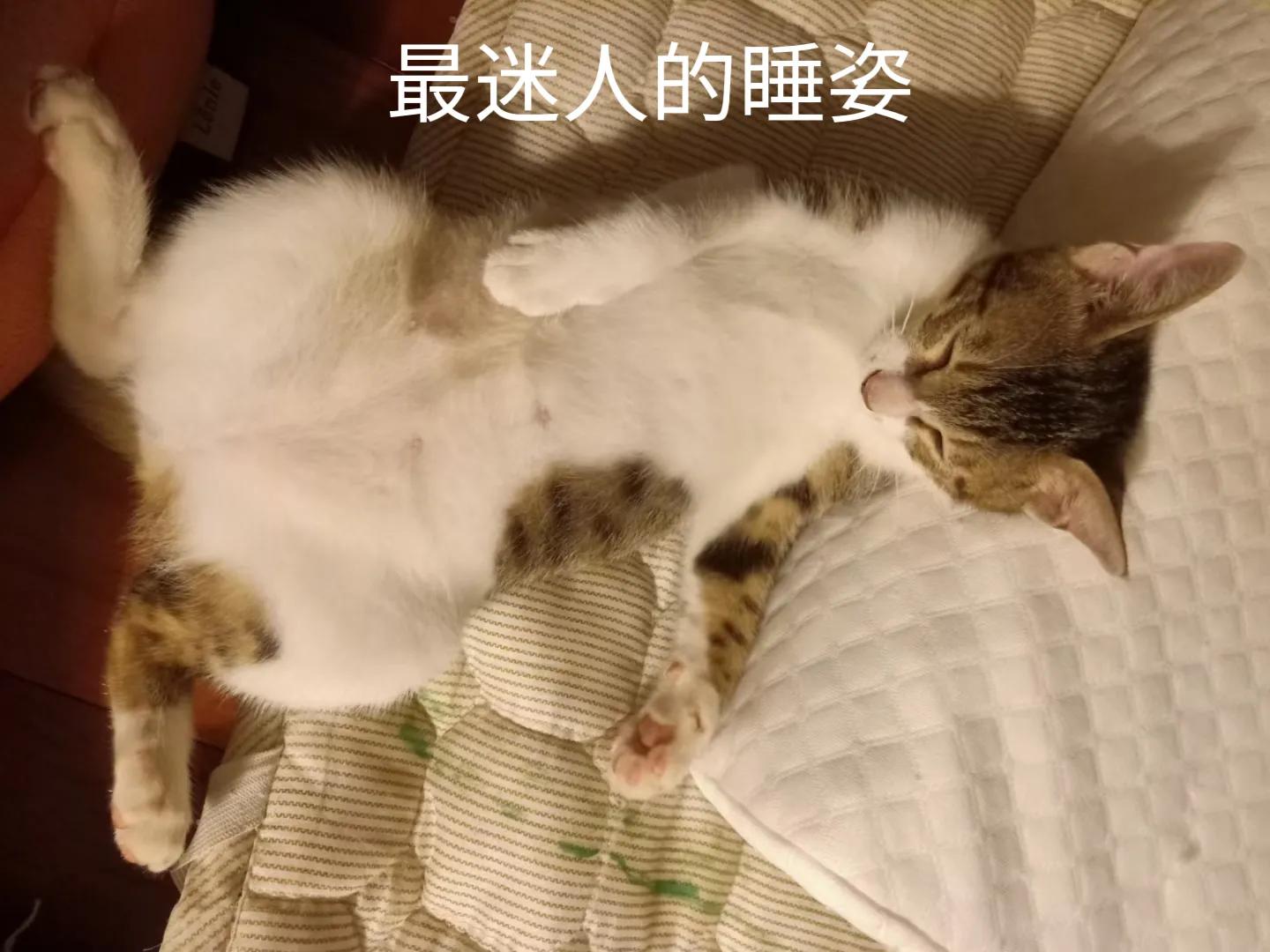 happy鎴戠殑濂冲鎻掓洸,浣爃appy鎴戜篃happy