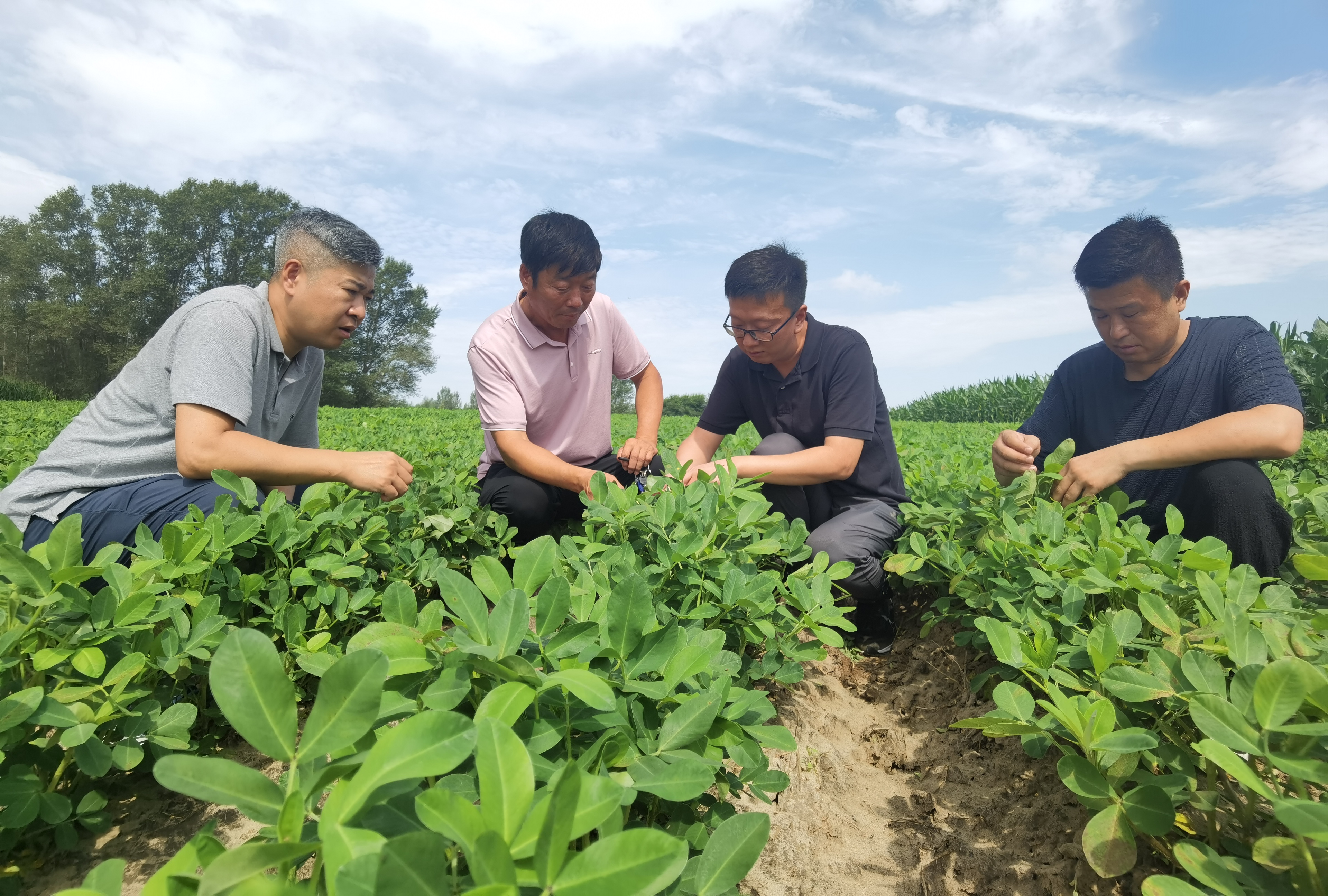 通榆县乡村振兴六大工程,村集体收入超百万