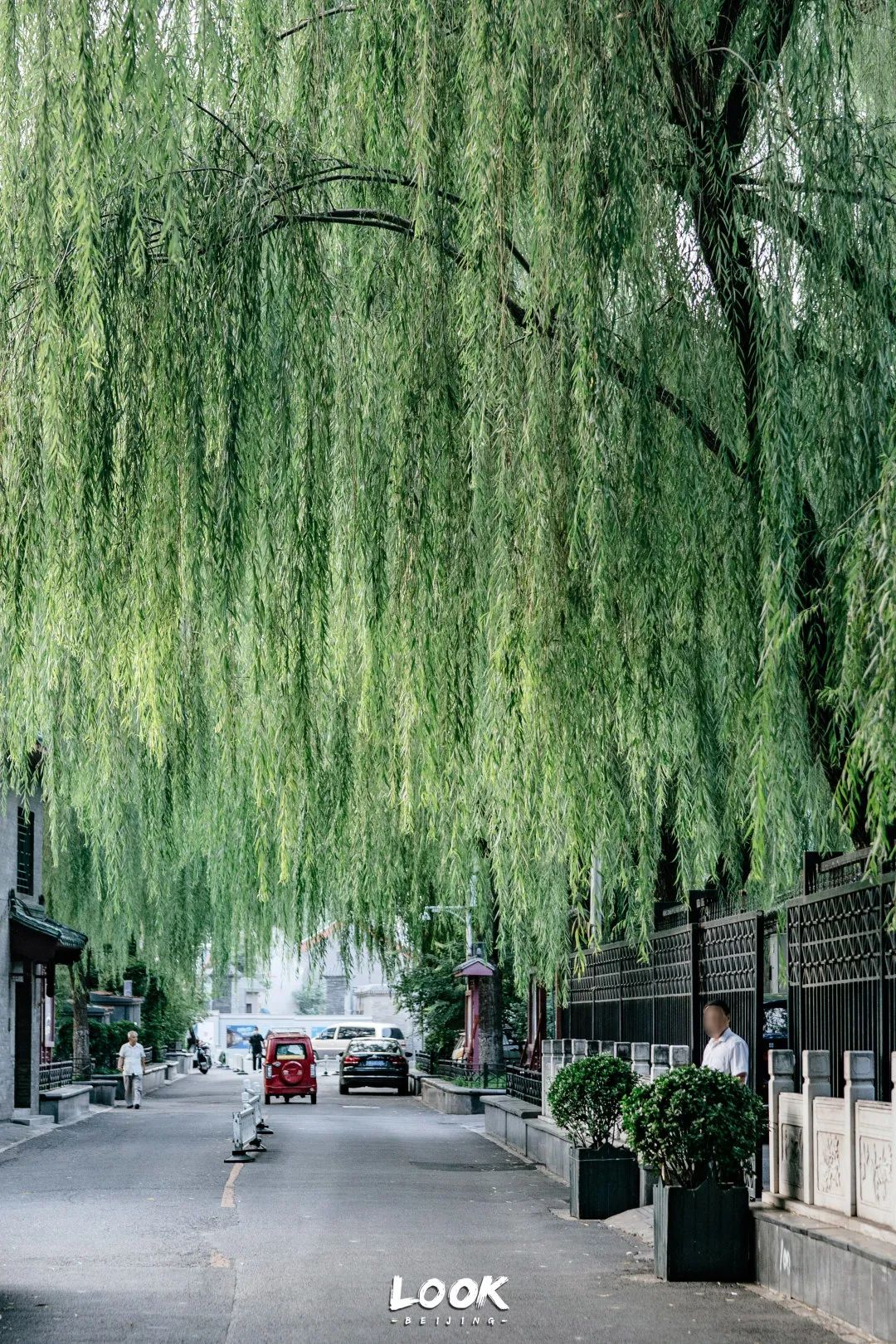 北京什刹海赏景的好地方,北京什刹海附近攻略