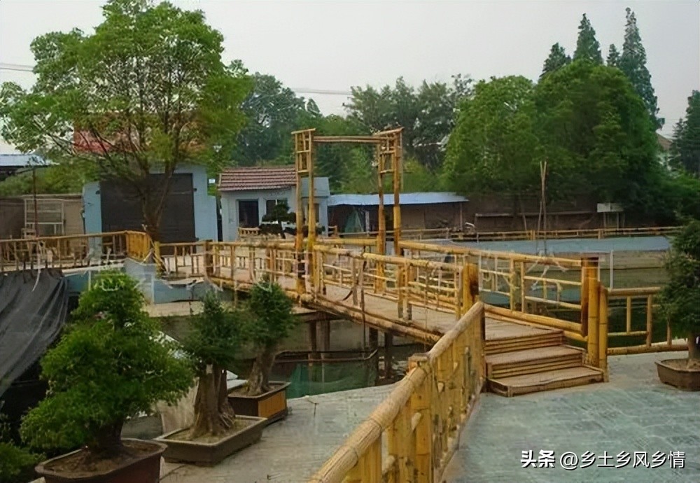 回农村创业新方法有哪些,创业失败想回农村创业