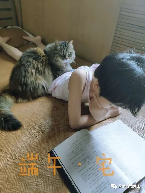 拒绝烂童书，朵妈帮你找到那些大V都不告诉你的好书