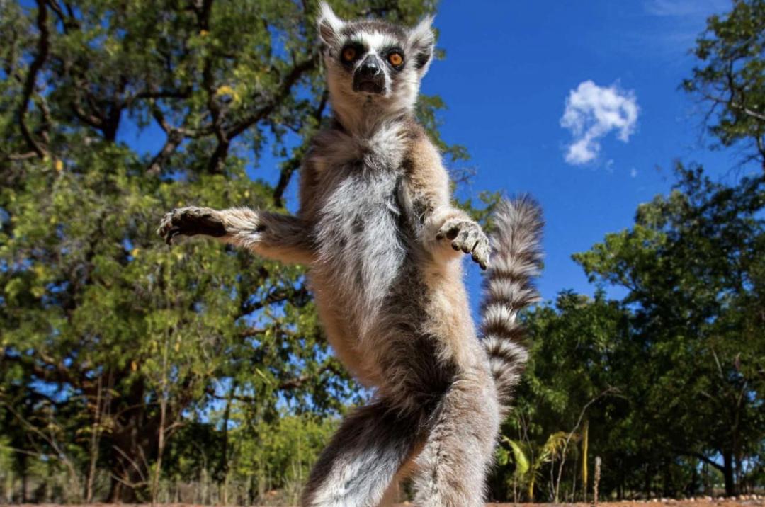 2023免签或落地签自由行国家推荐,免签落地签值得去的国家