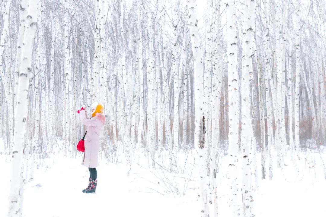 60岁之前必去的34省区最美天堂,最真实最美的旅游地方