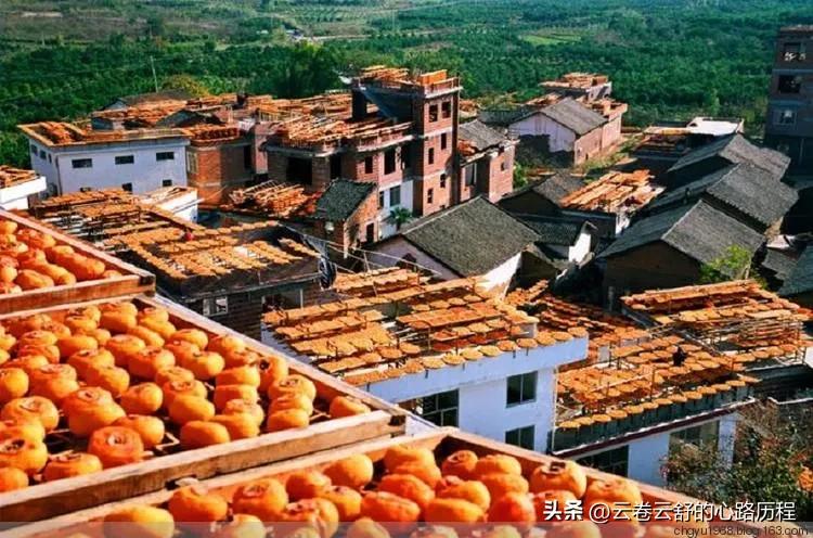 云上的小店让人振奋，妹夫准备在农村自主创业，振兴新农村经济！