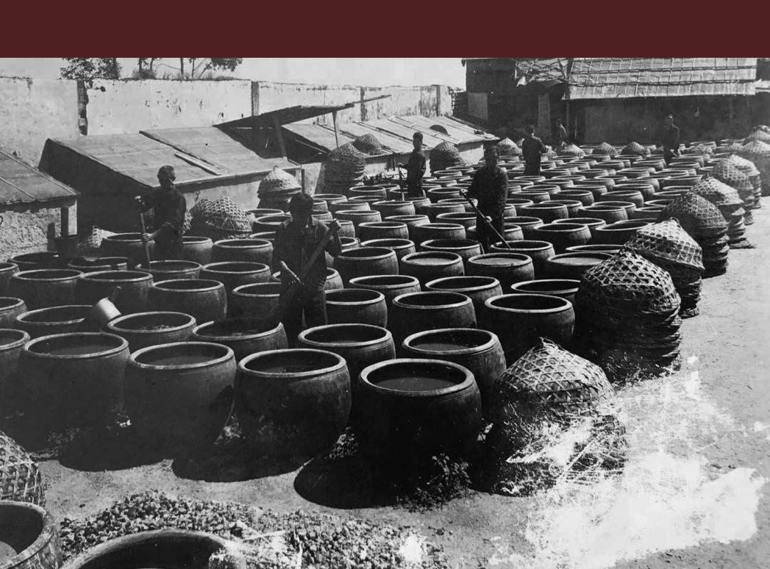 鱼露现代酿造,鱼露韩语怎么说