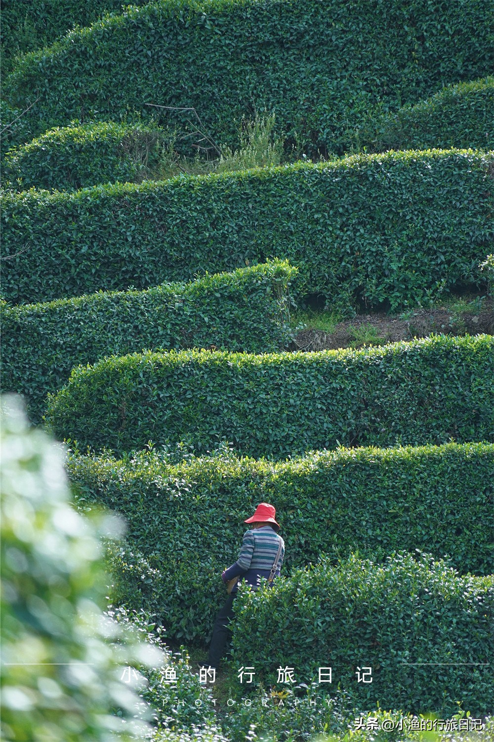 陕南5日古镇游,五一不出贵州省游玩攻略