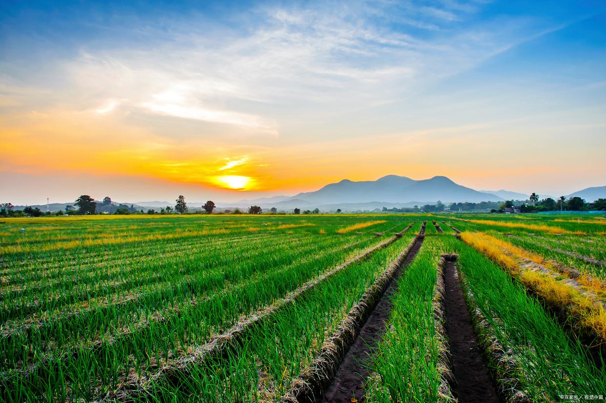 乡村振兴五年规划至少投资7万亿,乡村振兴项目55亿