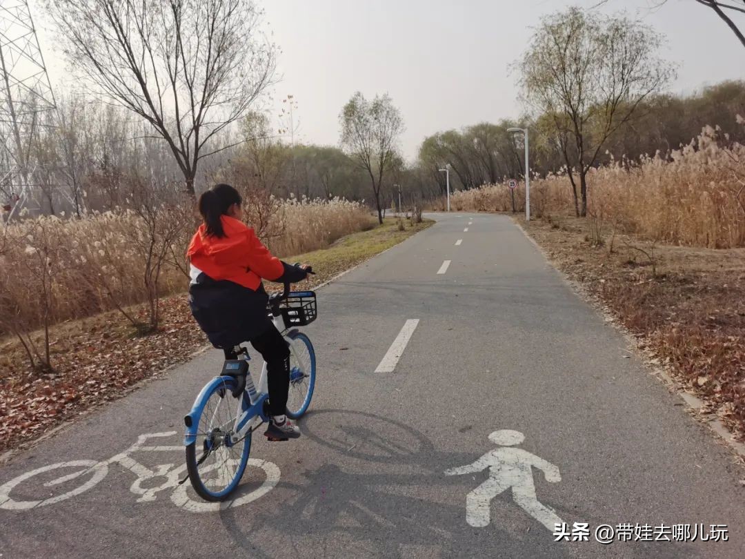 骑行国家森林公园,徒步骑行森林公园