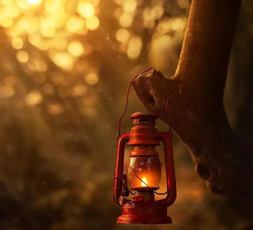 乡愁纪录片,乡愁余光中全文