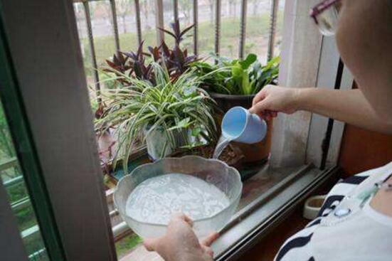 盆土粘稠能少浇水吗,盆土硬如石用什么泡水