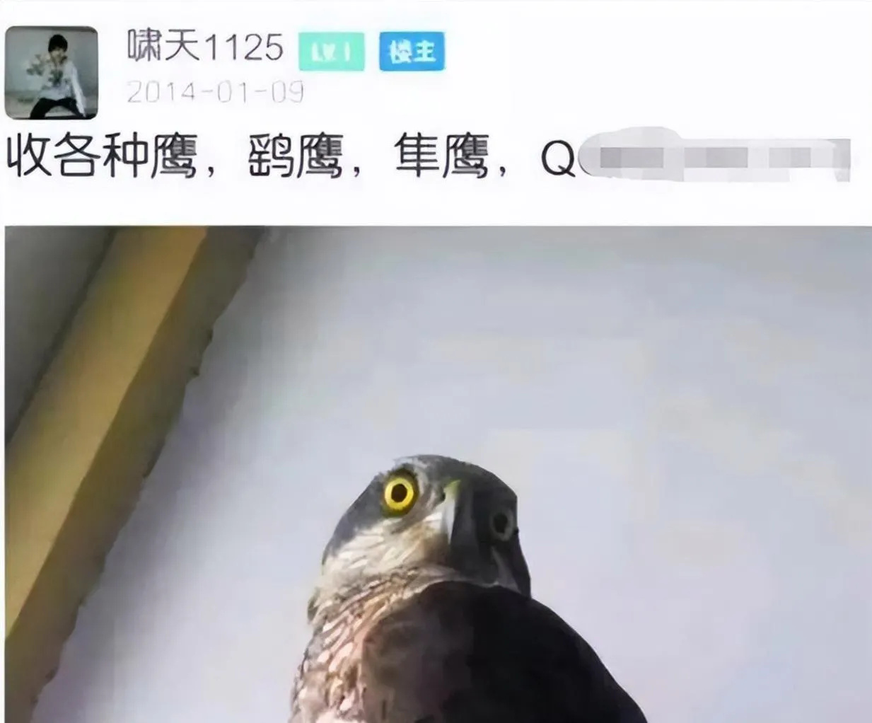 “大学生掏鸟案”当事人今日出狱，计划创业，重新融入社会