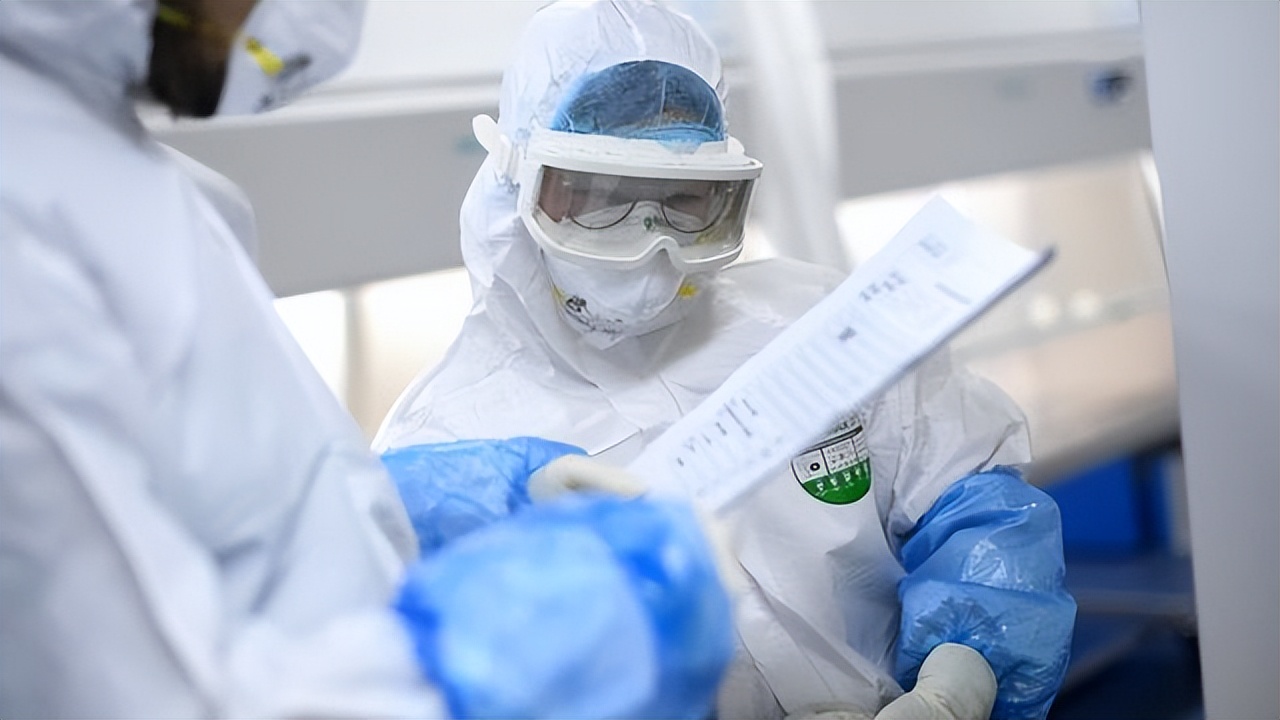 关于史前病毒的研究,史前巨型病毒是真的吗