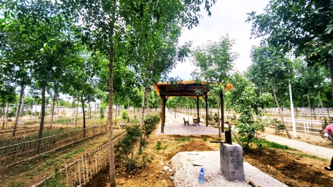 休闲农业与乡村旅游项目分析,休闲农业与乡村旅游什么时候开始