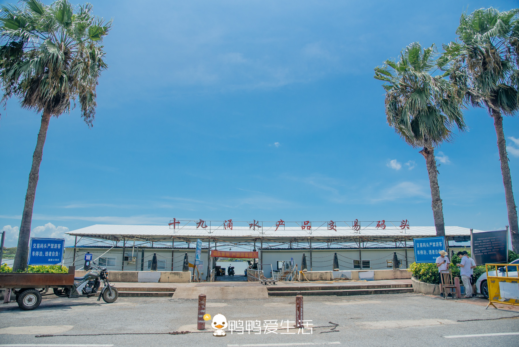 南沙十九涌渔人码头路边海鲜,广州十九涌海鲜码头