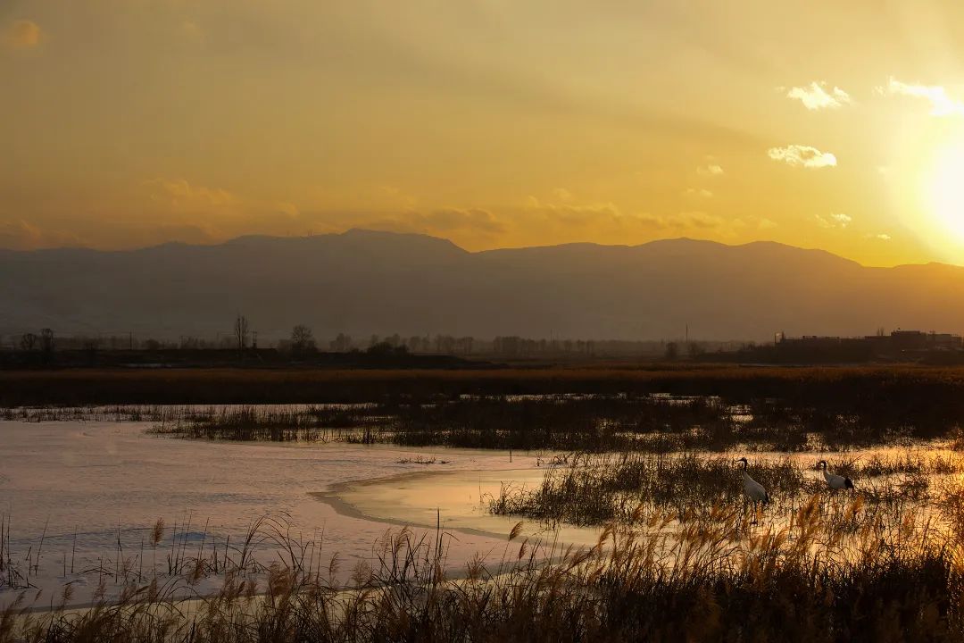 迎接党的20大美术作品,喜迎二十大乡村摄影展