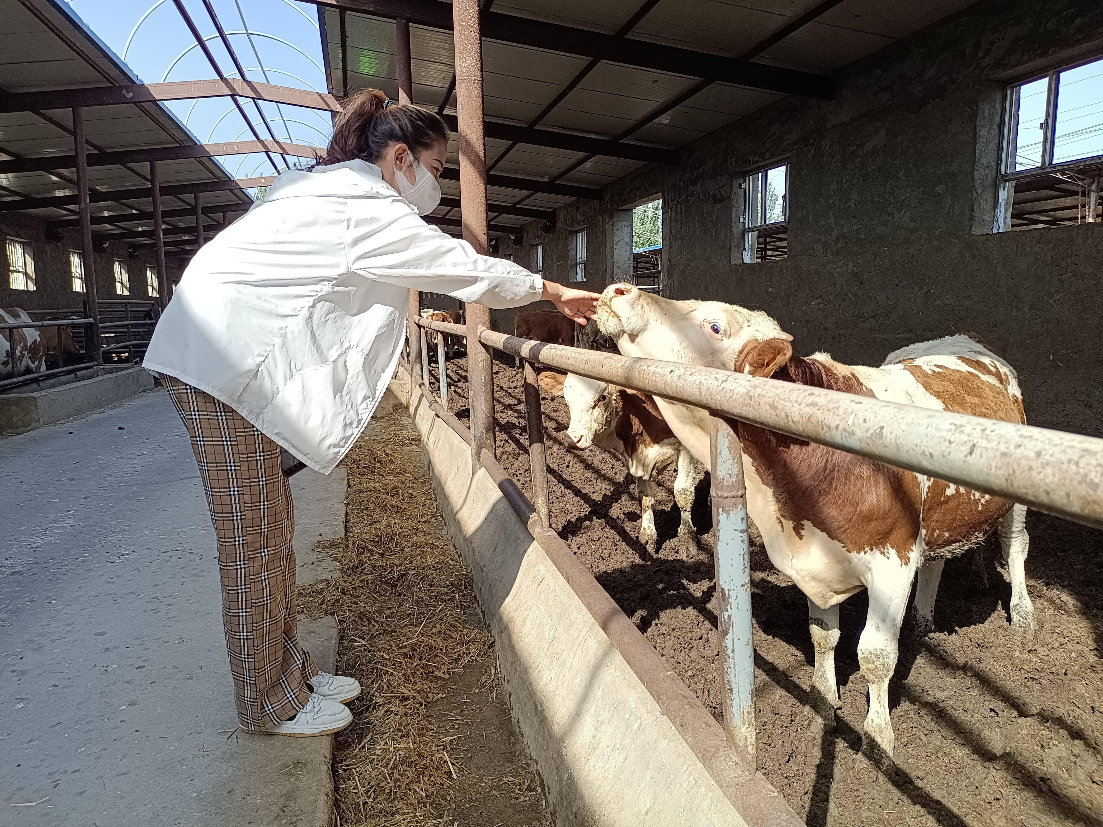 做什么养殖项目最好,大学生养殖创业