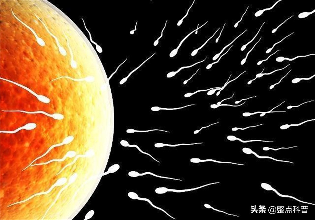 进入女性体内后，没成功“受精”的东西都去哪里了？既好笑又心疼
