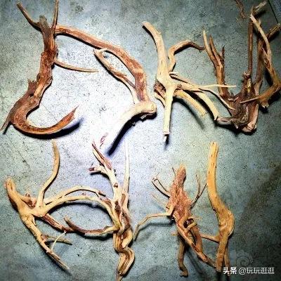 水草缸放沉木黄水怎么处理,水草缸菌膜怎么处理