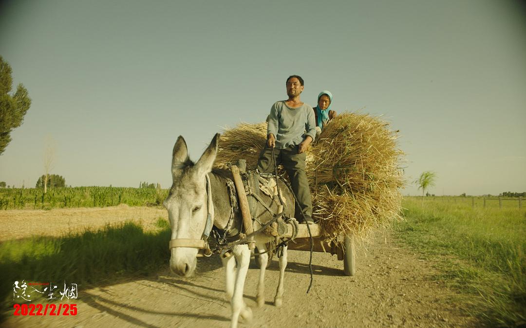 隐入尘烟最后驴回来了说明了什么,隐入尘烟二刷体验