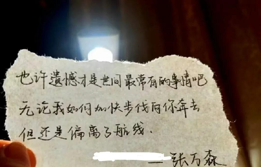 关于张万森最好的文案,关于张万森和林北星的文案