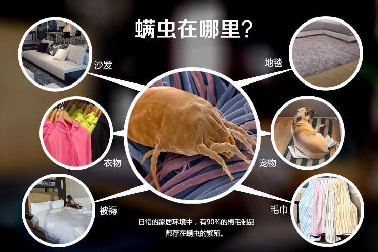 被子长期不晒“螨虫”扎堆？教你一招，不用晒不用洗，除螨又卫生