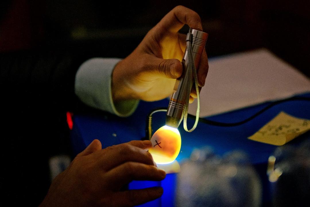 卷不动的现在，拿什么面对未来？这位校长说，给了孩子这三种知识就不用怕