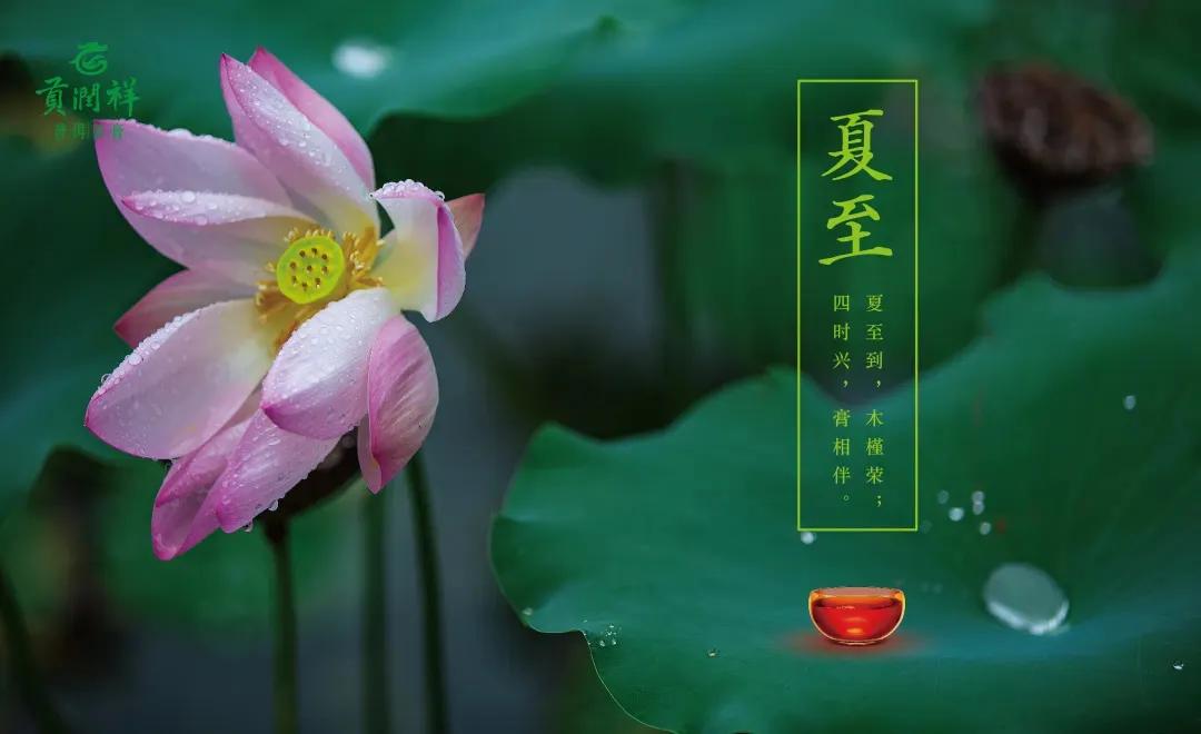 生如夏花蝶舞幽帘歌词,生如夏花繁花似锦下一句