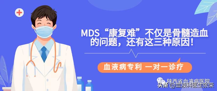 MDS“康复难”不仅是骨髓造血的问题，还有这三种原因