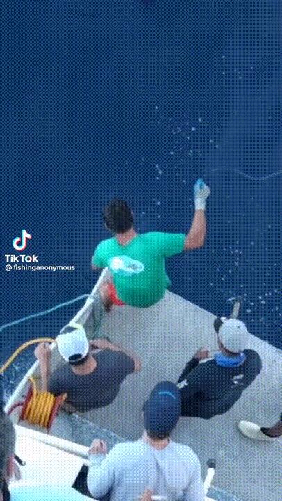 海底奇观欣赏,海底世界奇妙之旅图片