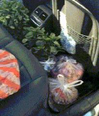 妹子注意点吧，你这姿势太不雅观了，在公共场合还是收敛点吧。