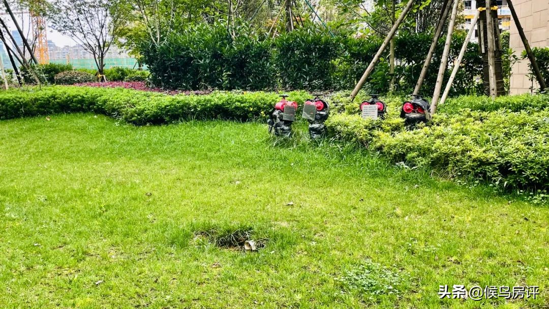 贵州之光最新消息,贵州之光几个地块