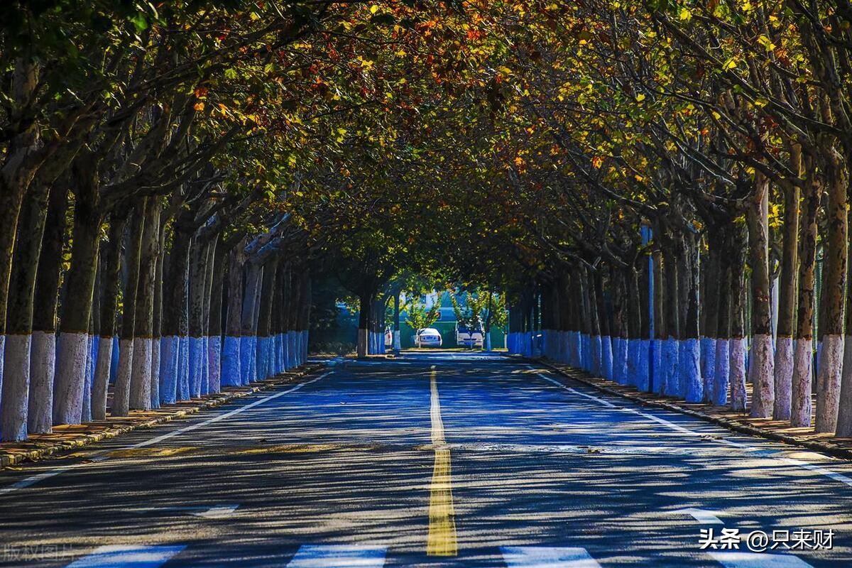 中国最难考的20所大学,中国985最好的20所大学名单排名