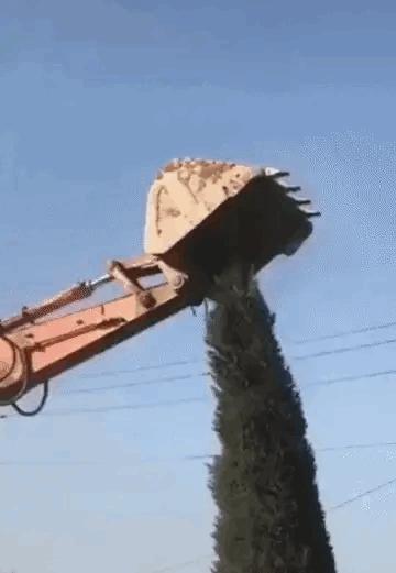 “老婆出差在宾馆给我发照片，桌子上那个是胶水吗？”哈哈哈哈