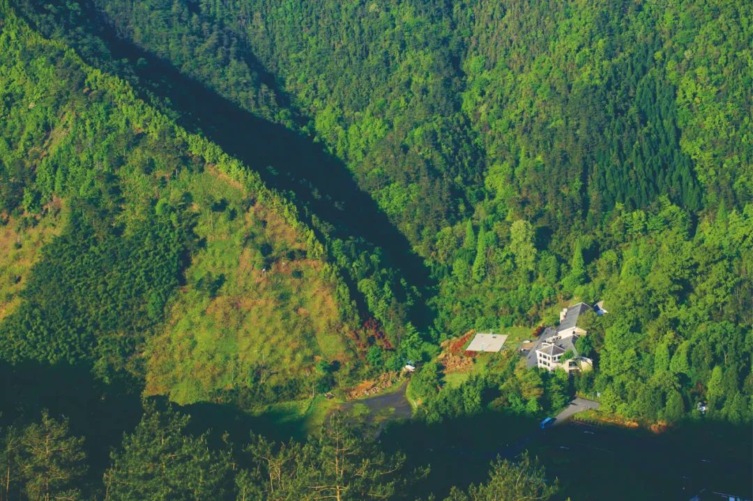 中国首次参加世界博览会,中国举办了哪些国际大会