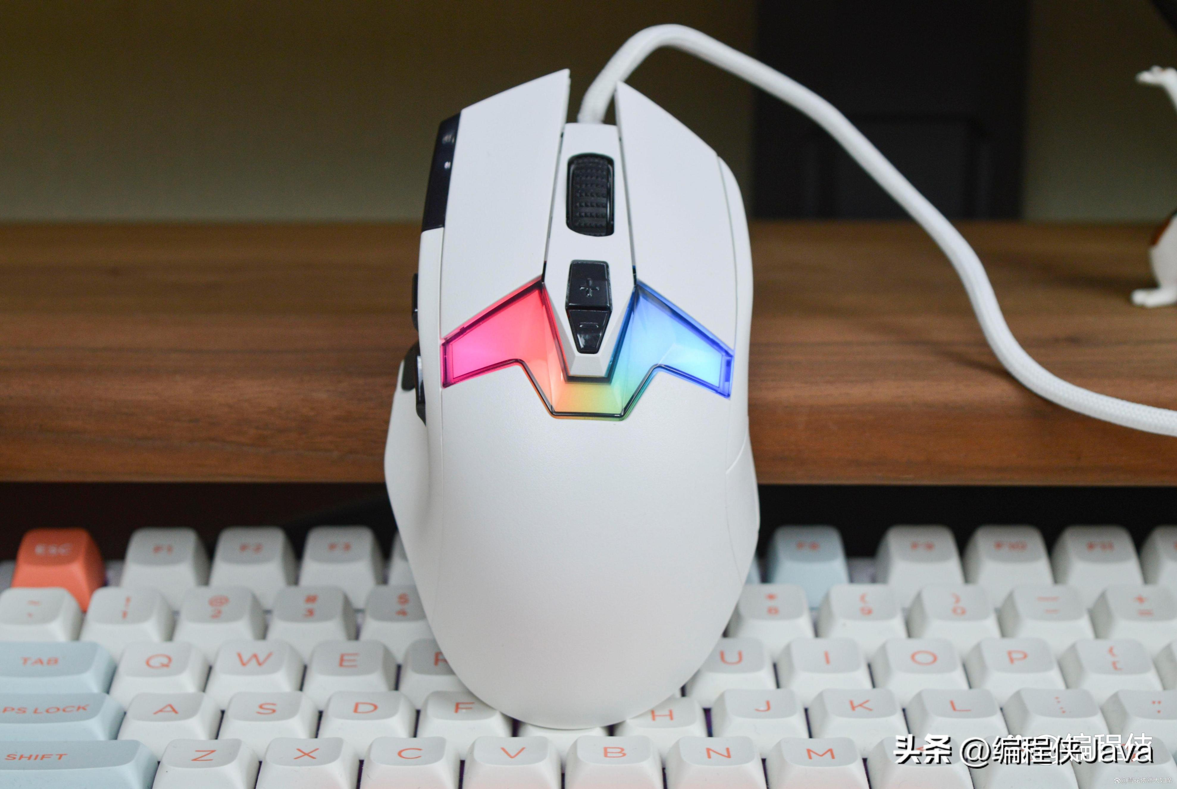 公认的鼠标,目前最顶级的鼠标品牌